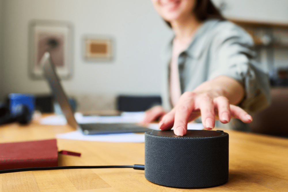 A Language Learning Companion