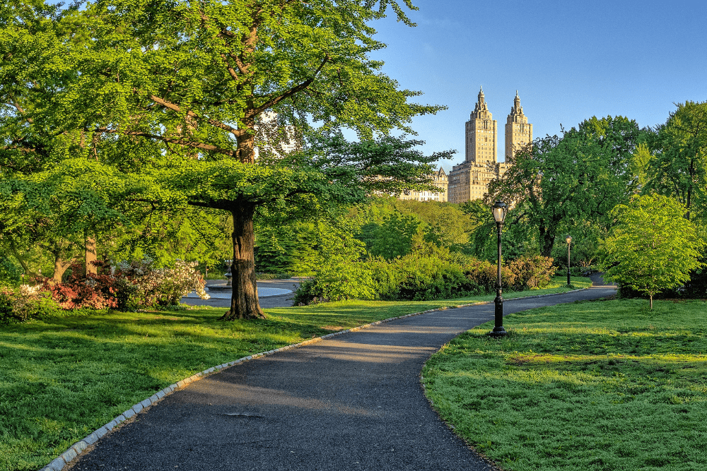 Central Park