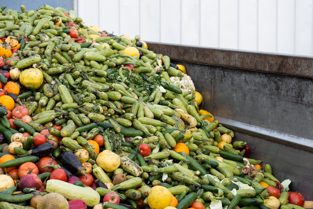 Food Waste Is a Billion-Dollar Problem