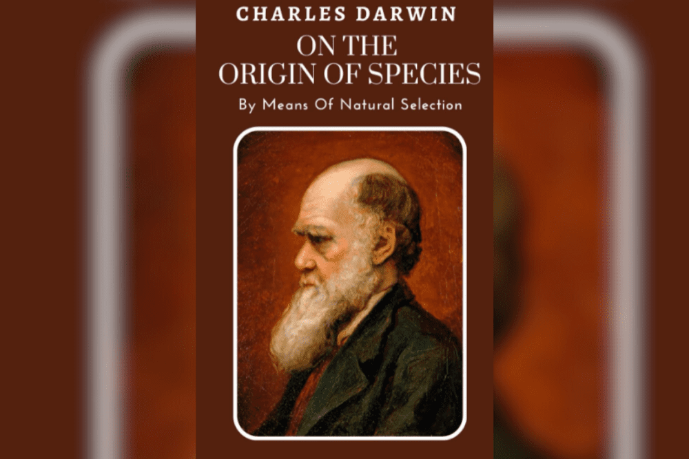 Image Credit Amazon 1