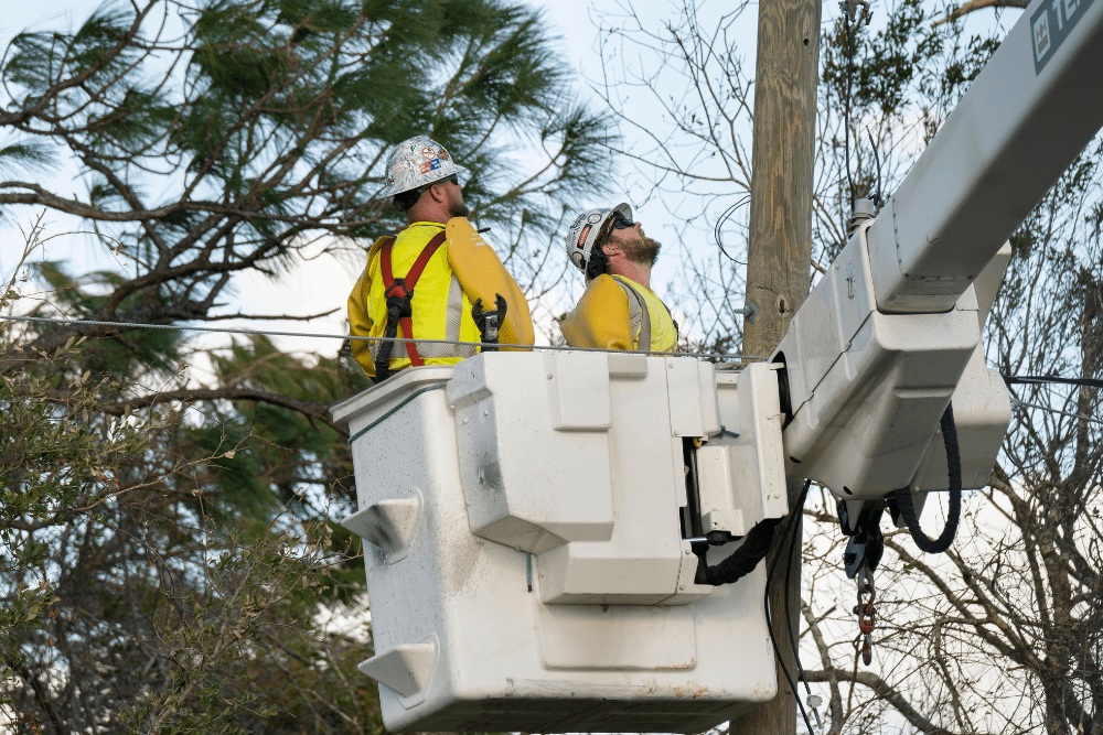 Image Credit Bilanol Shutterstock