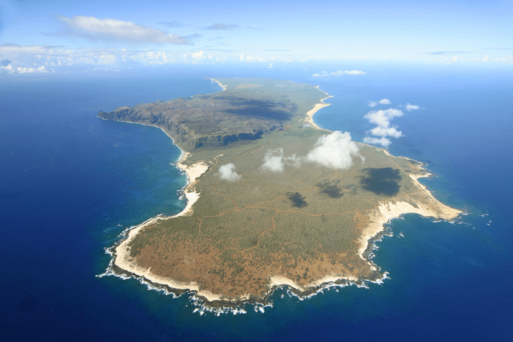 Image Credit Christopher P. Becker