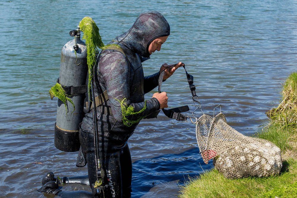 Image Credit FORE Magazine