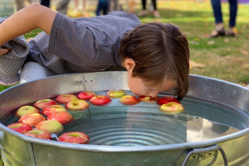 Image Credit InMenlo