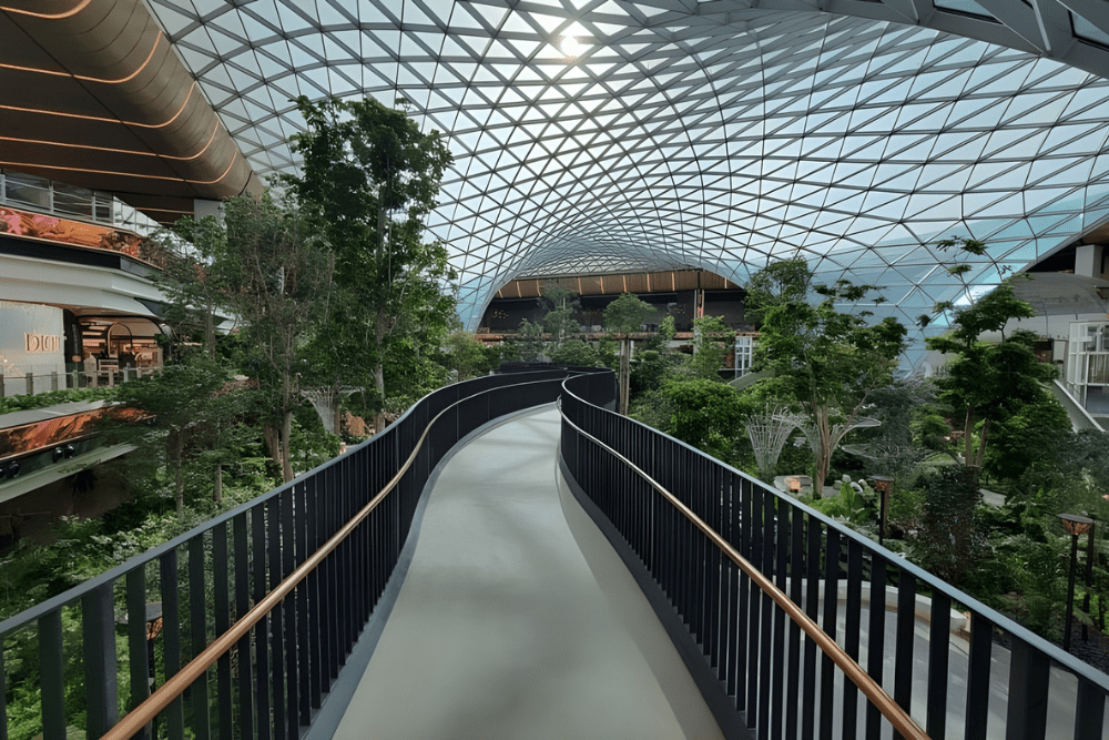 Image Credit International Airport Review