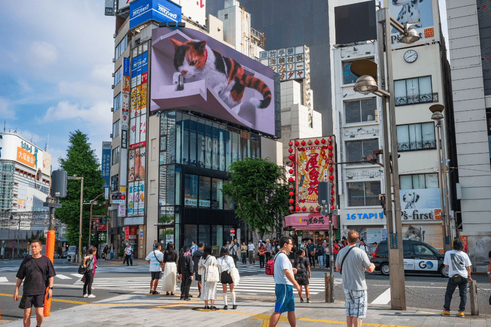 Image Credit JWCohen Shutterstock