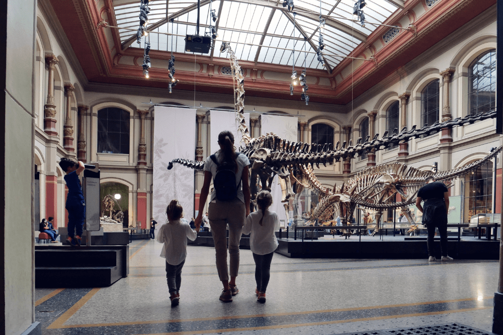 Image Credit Kitreel Shutterstock