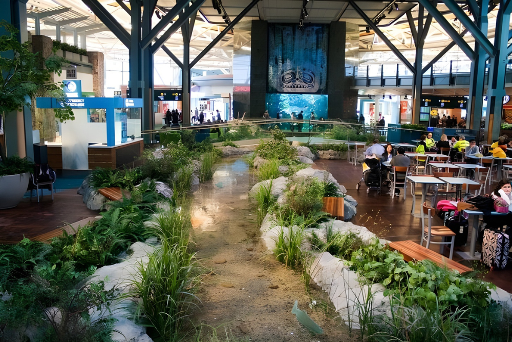 Image Credit Pinterest