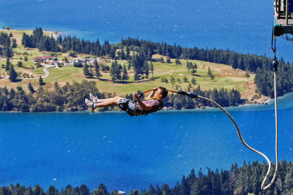 Image Credit PomInOz Shutterstock