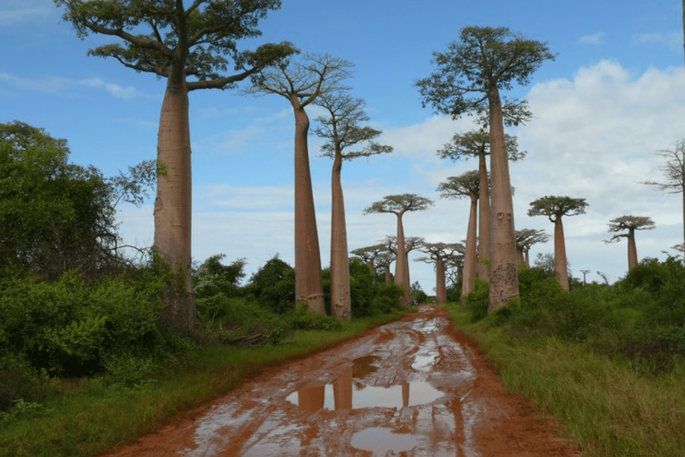 Image Credit Rita Willaert Flickr