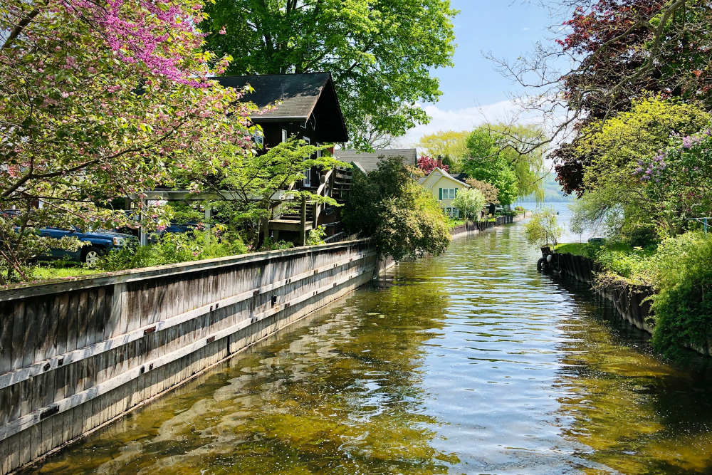 Image Credit Shutterstock 10 1