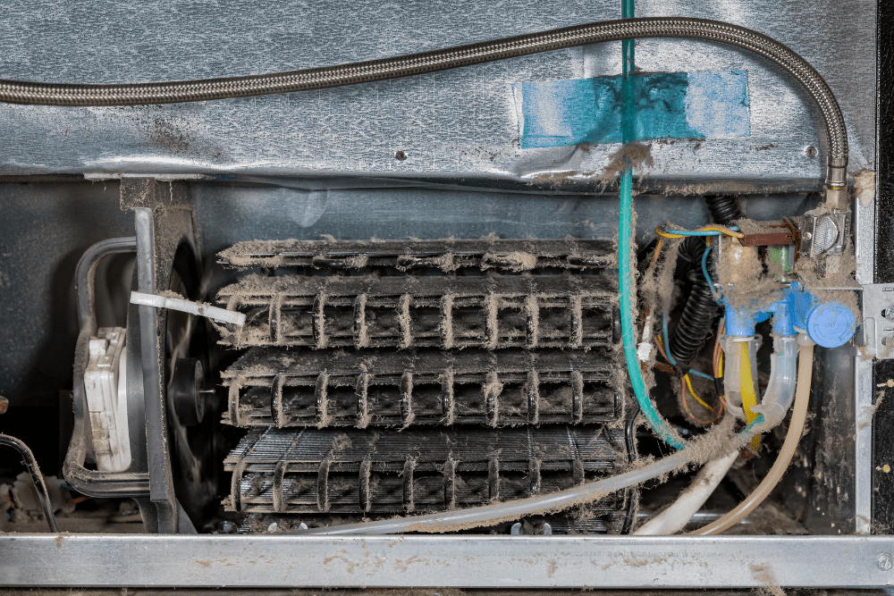 Image Credit Shutterstock 2025 10 23T050703.335