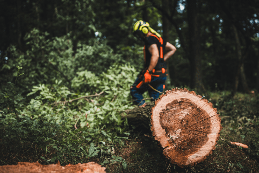 Image Credit Shutterstock 2025 10 23T074542.270