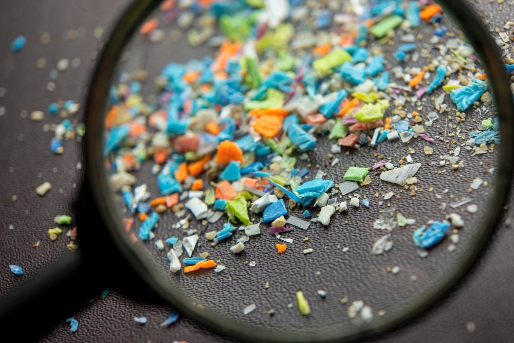 Image Credit Shutterstock 2025 10 25T022402.136