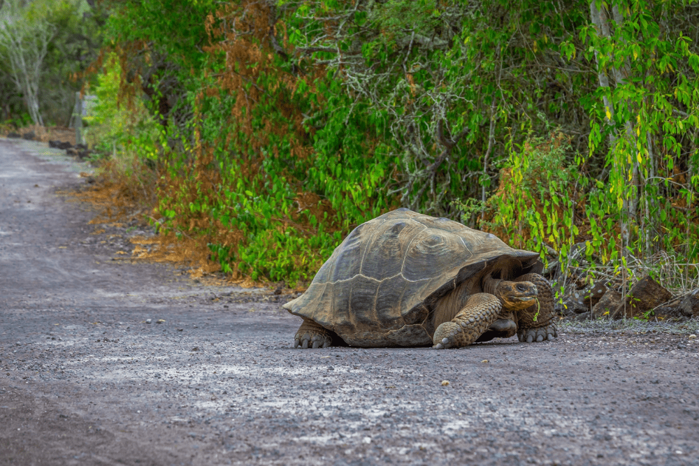 Image Credit Shutterstock 2025 10 25T074935.582