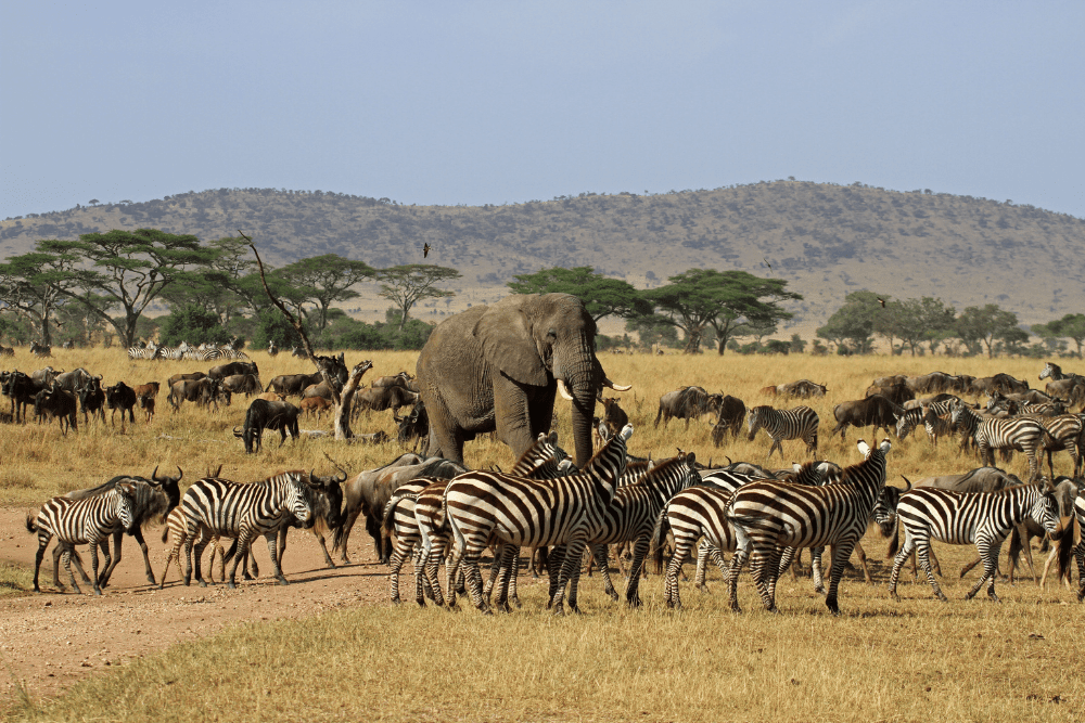 Image Credit Shutterstock 2025 10 25T080156.636