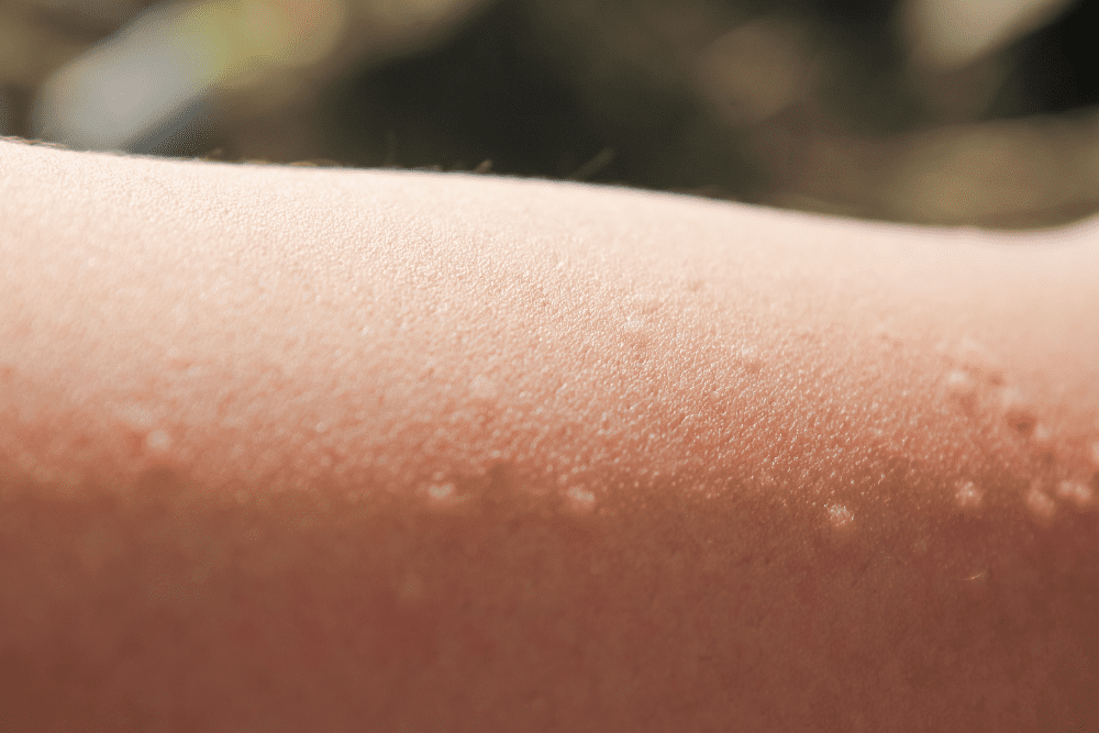 Image Credit Shutterstock 2025 10 25T091402.553