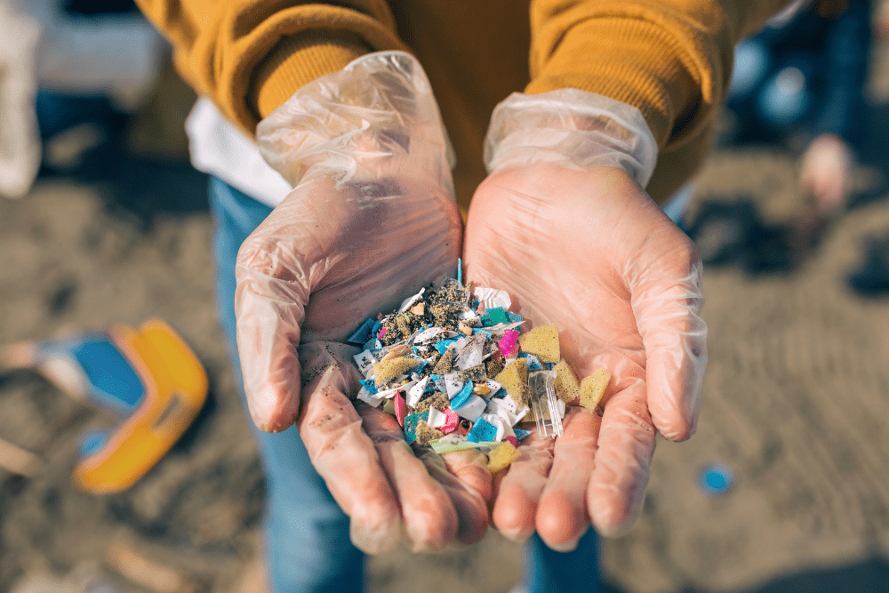 Image Credit Shutterstock 2025 10 28T225250.412