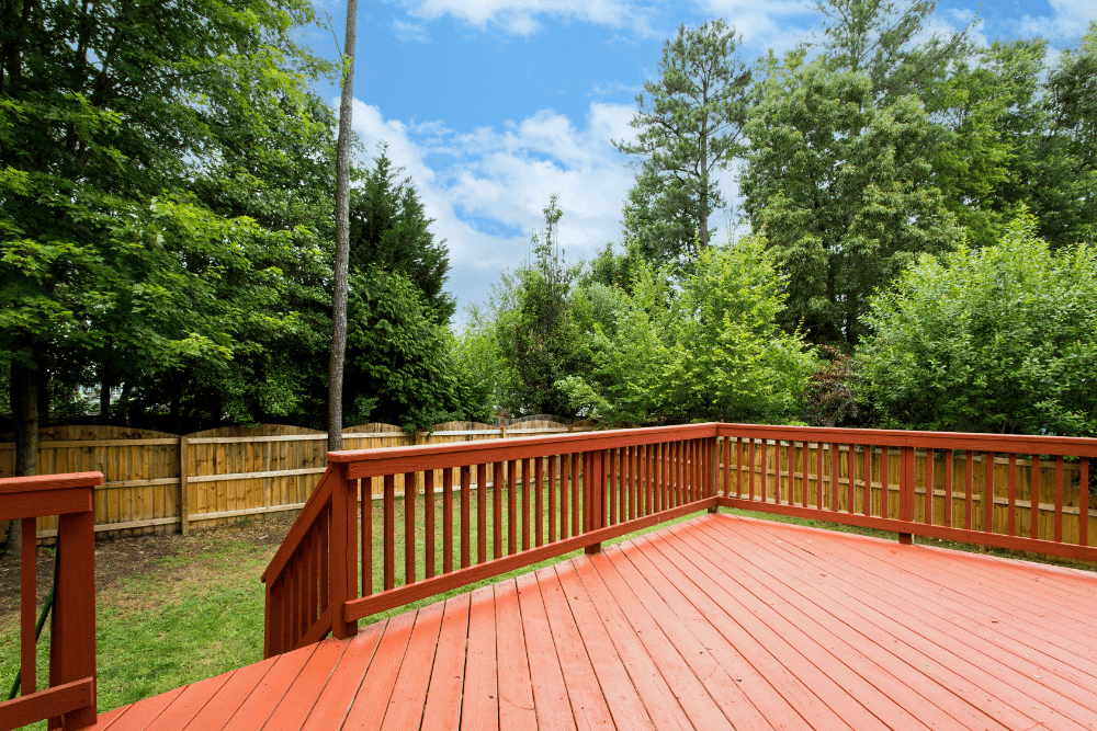 Image Credit Shutterstock 21