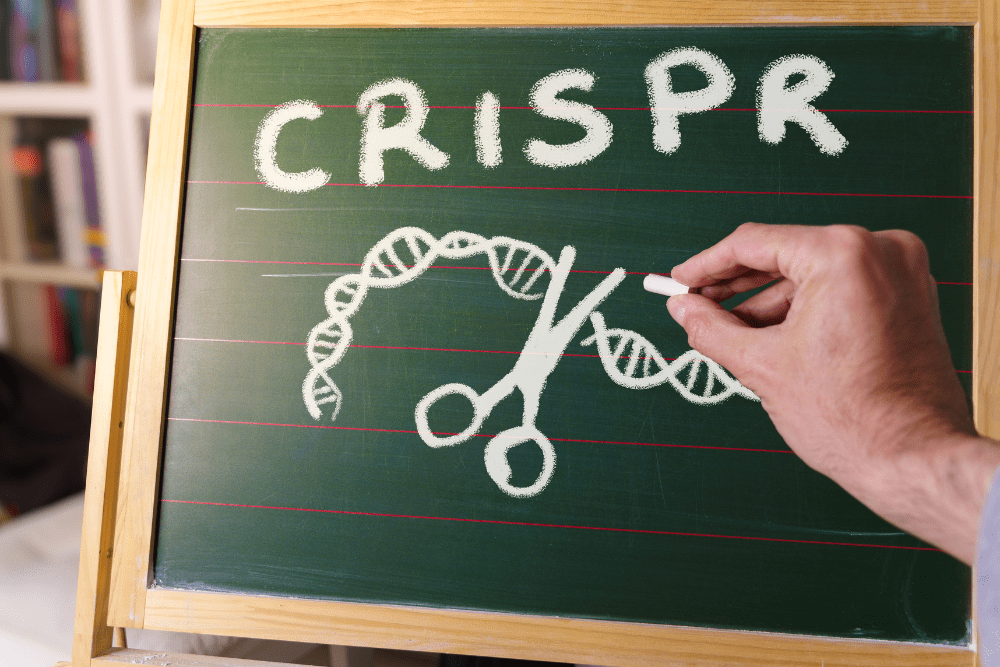 Image Credit Shutterstock 3 1