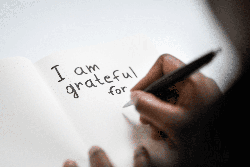 Image Credit Shutterstock 51