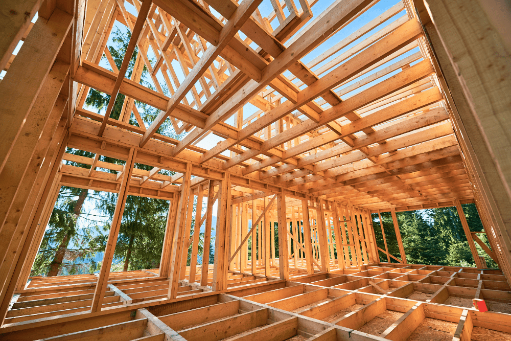 Image Credit Shutterstock 8 1