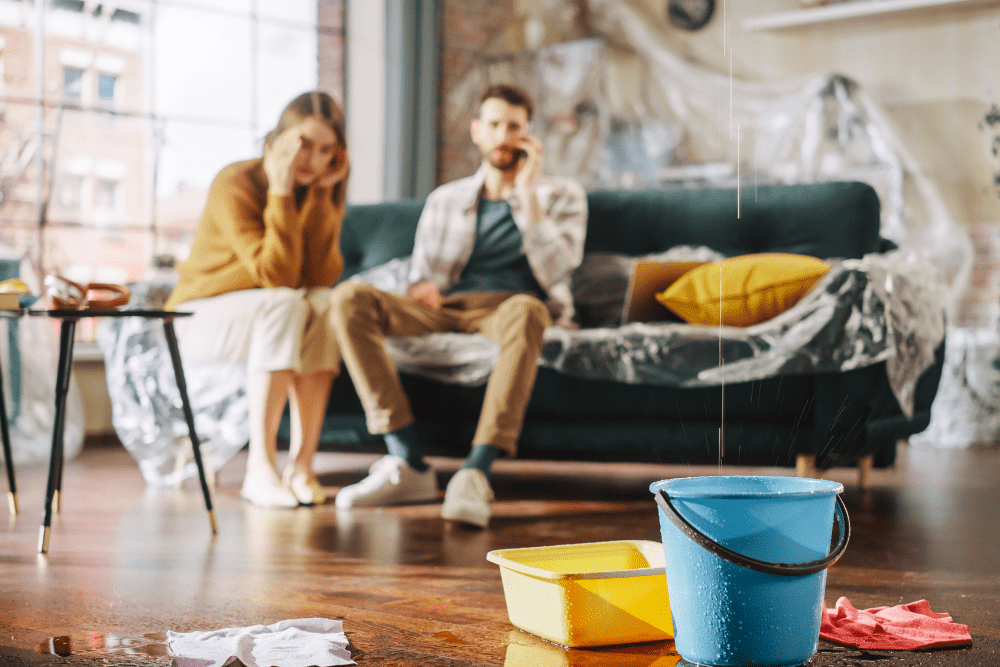 Image Credit Shutterstock 9 1