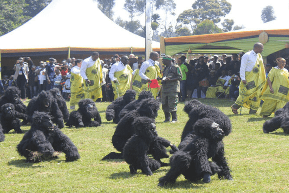 Image Credit Volcanoes National Park