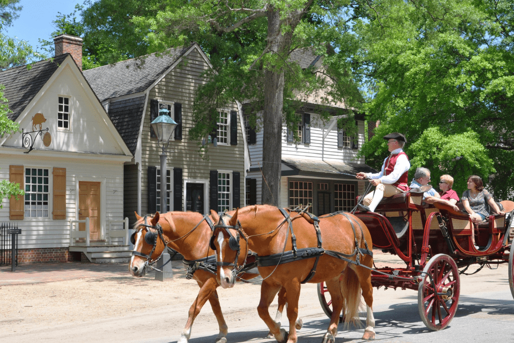 Image Credit Wangkun Jia Shutterstock