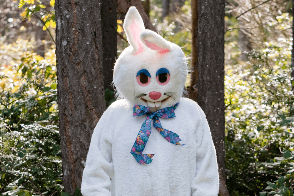 Image Credit lsannes Getty Images Signature