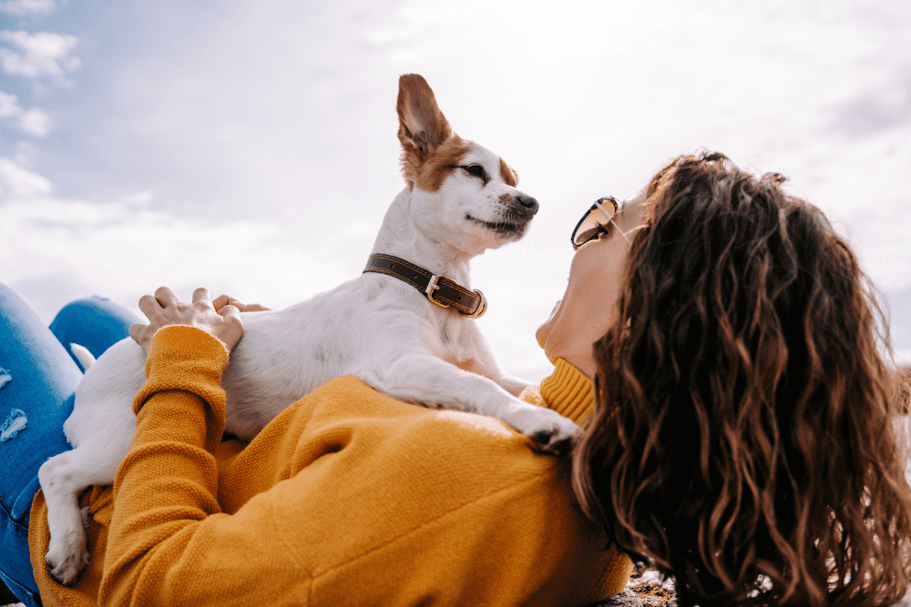 Keep Your Furry Friends Close