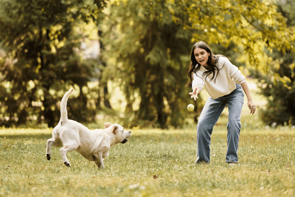 Playing with Kids or Pets