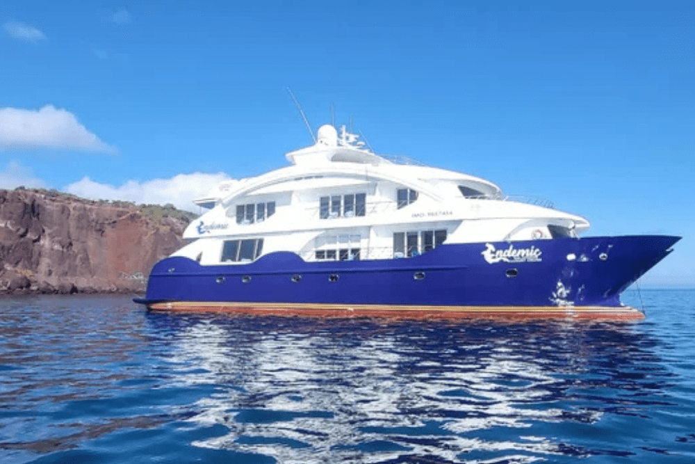 The Galapagos Islands