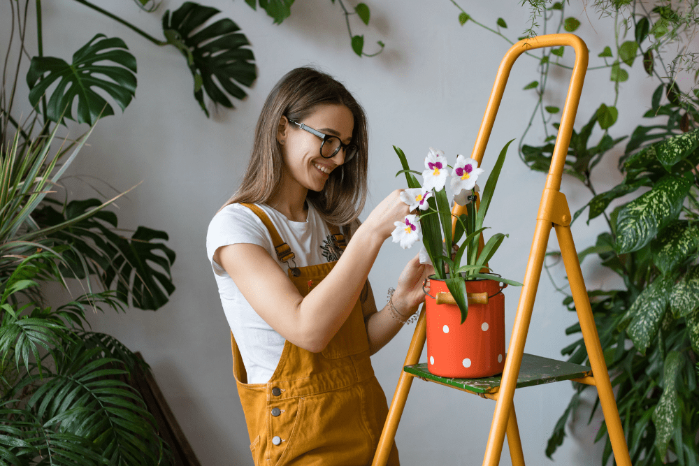 You Curate Your Environment for Peace, Not Impressiveness