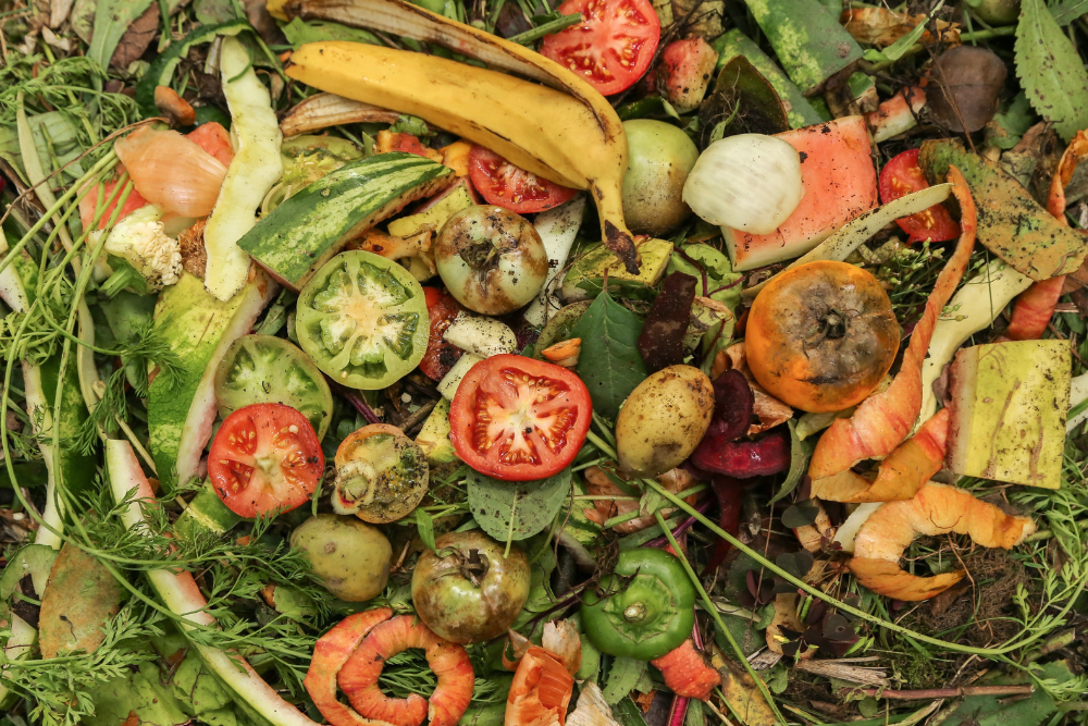 Food Scraps Into Animal Feed