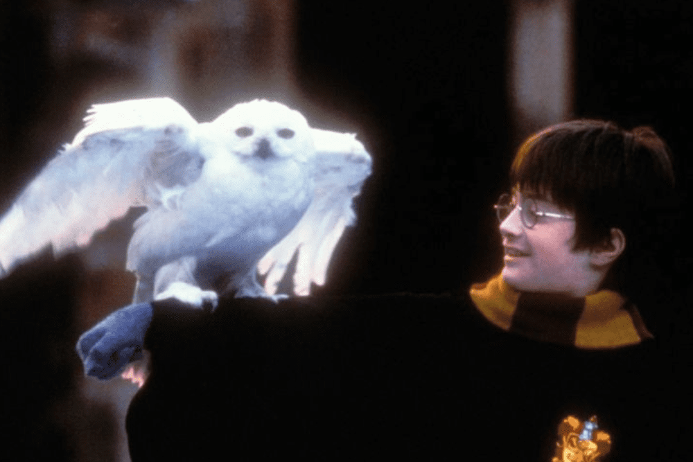 Harry Potter and the Sorcerers Stone Approaches 25 Years