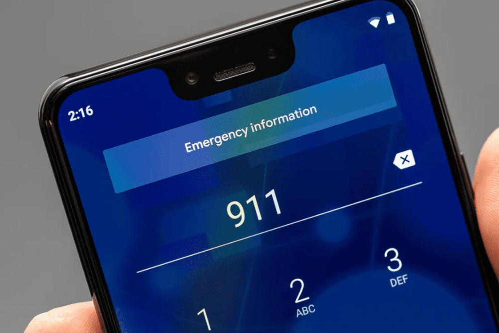 Image Credit Amelia Holowaty Krales The Verge