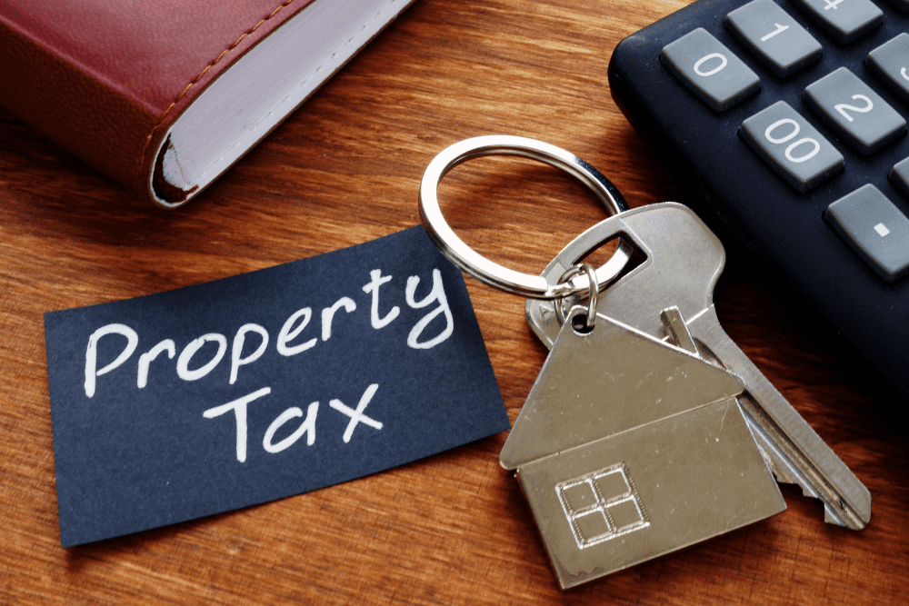 Image Credit Andrii Dodonov Getty Images