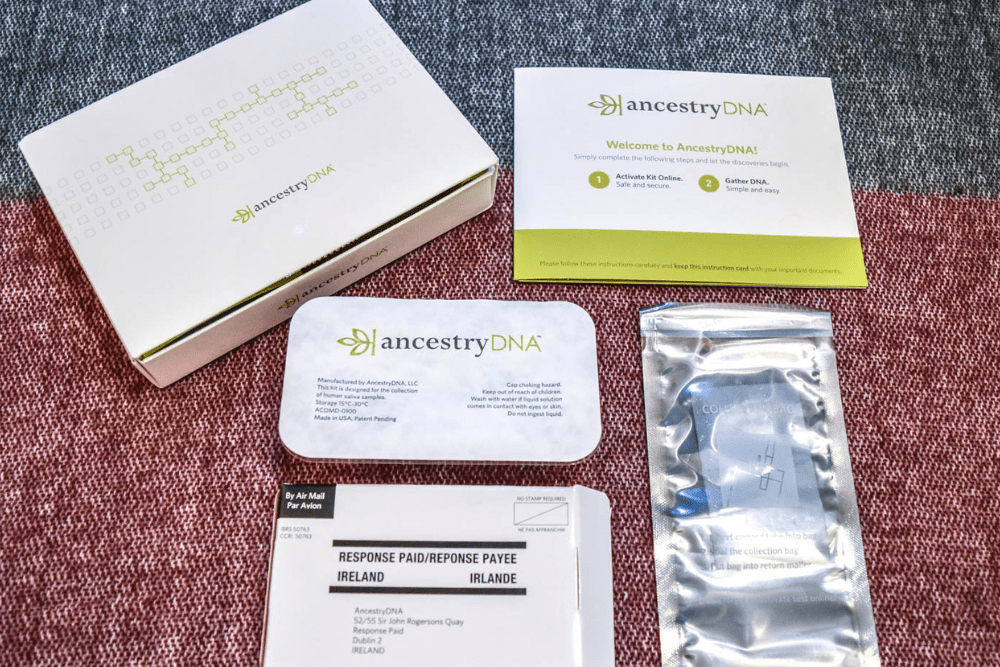 Image Credit Jenna Morrissey