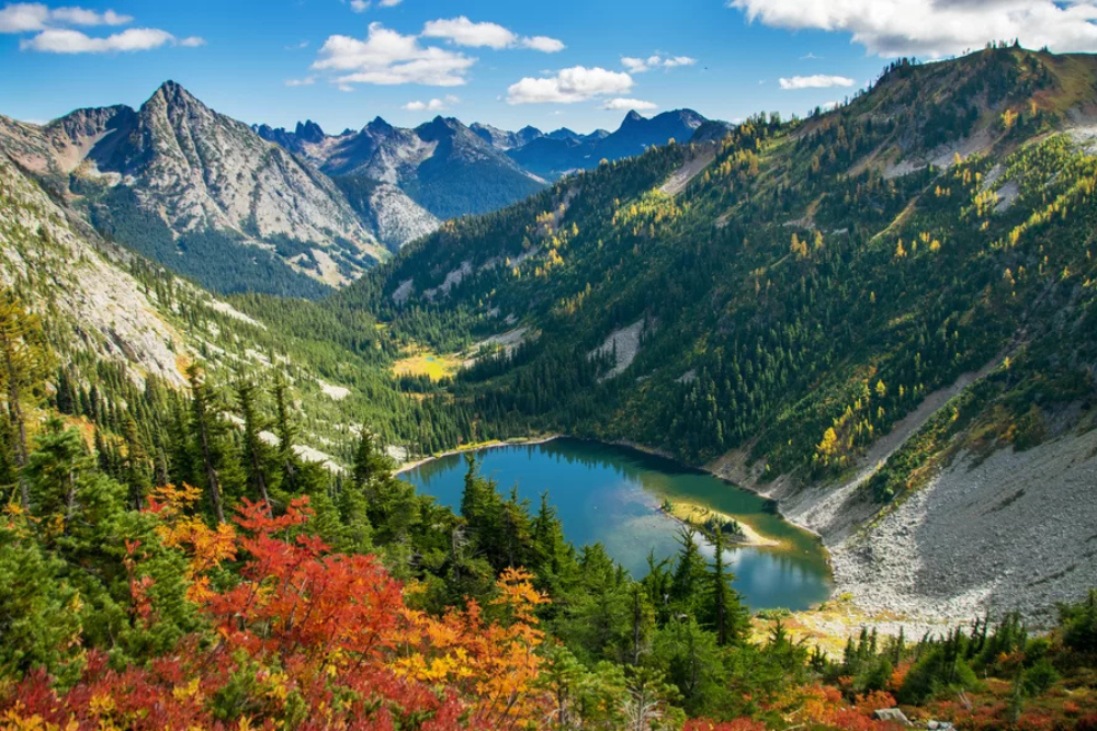 Image Credit Lidija Kamansky Moment Getty Images