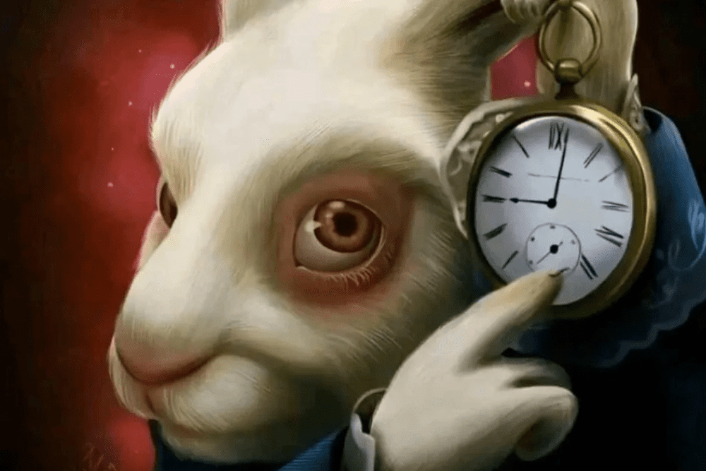 Image Credit Luz Tapia Forbes