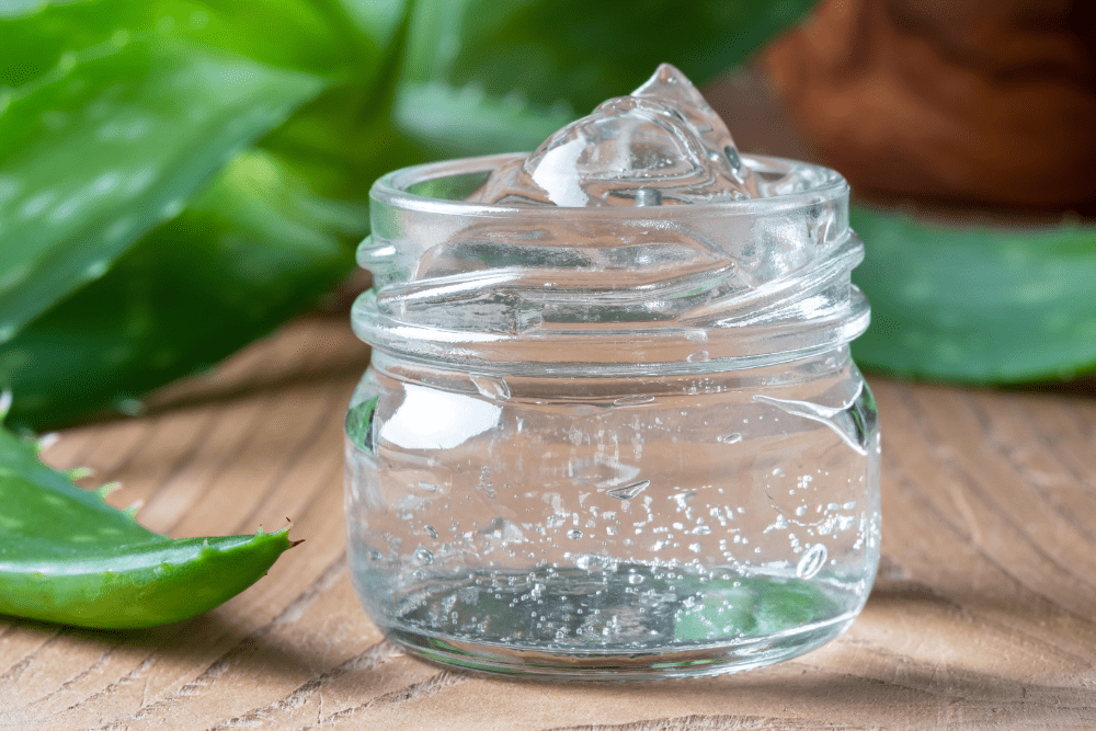 Image Credit Madeleine Steinbach Getty Images