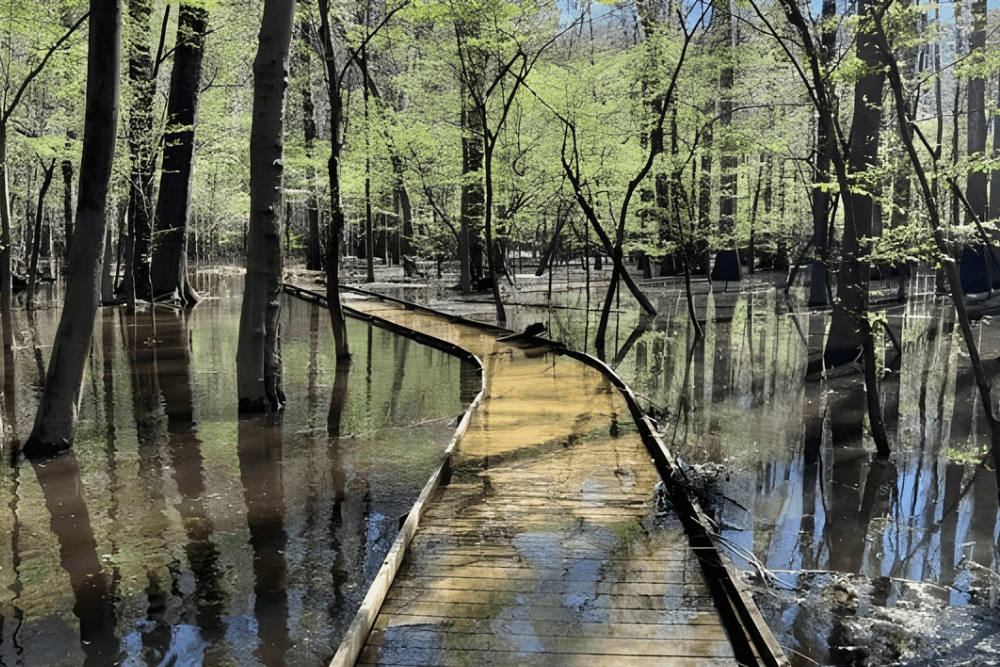 Image Credit National Park Service 1 1