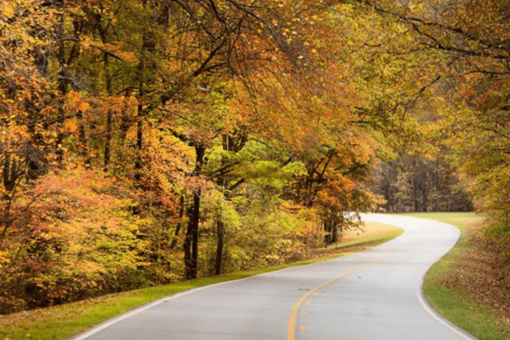 Image Credit National Park Service 3