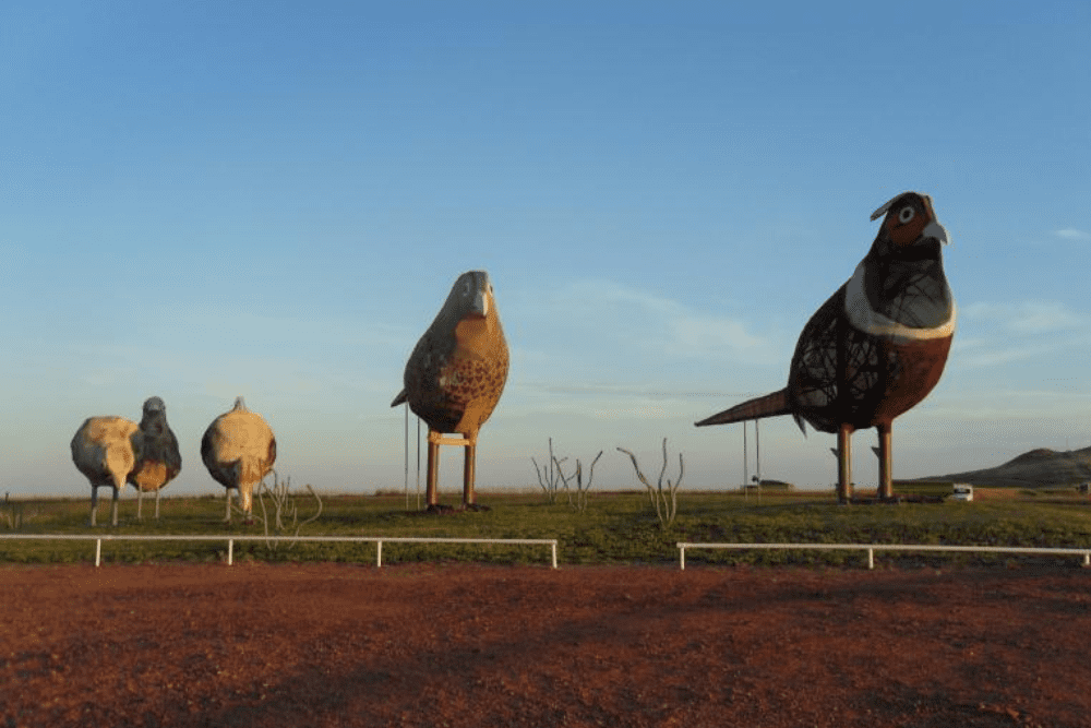 Image Credit North Dakota Tourism