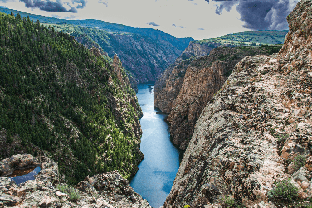 Image Credit RoadRUNNER