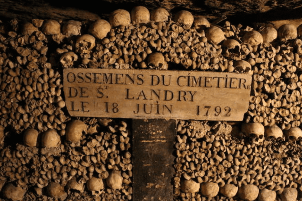 Image Credit Ron Perrier