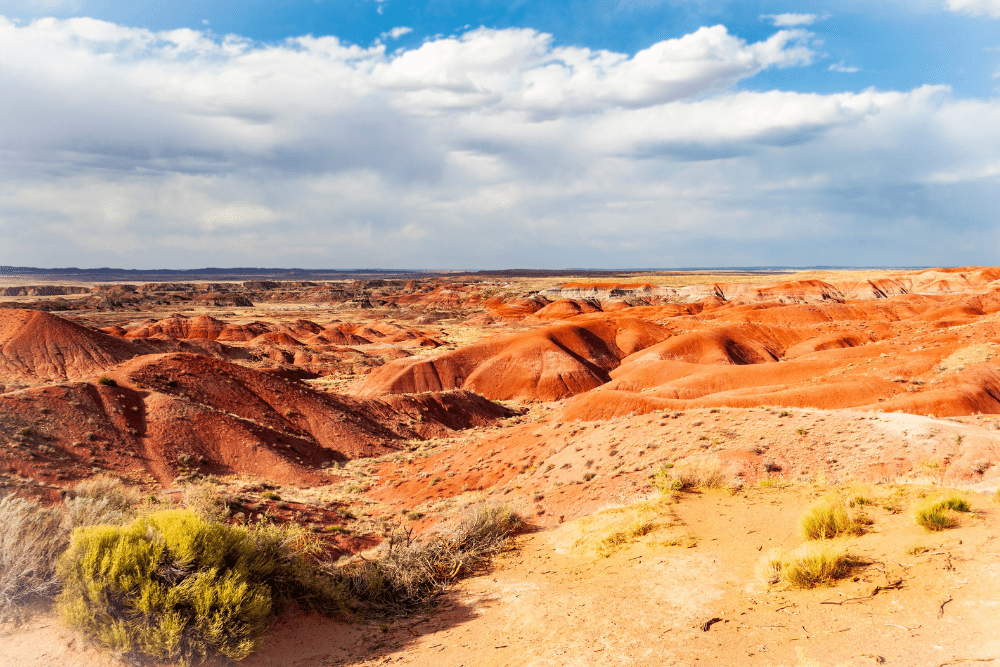 Image Credit Shutterstock 2025 11 22T024142.619