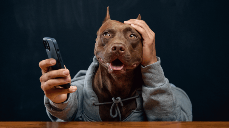 The 9 Online Microtrends That Went Viral This Year