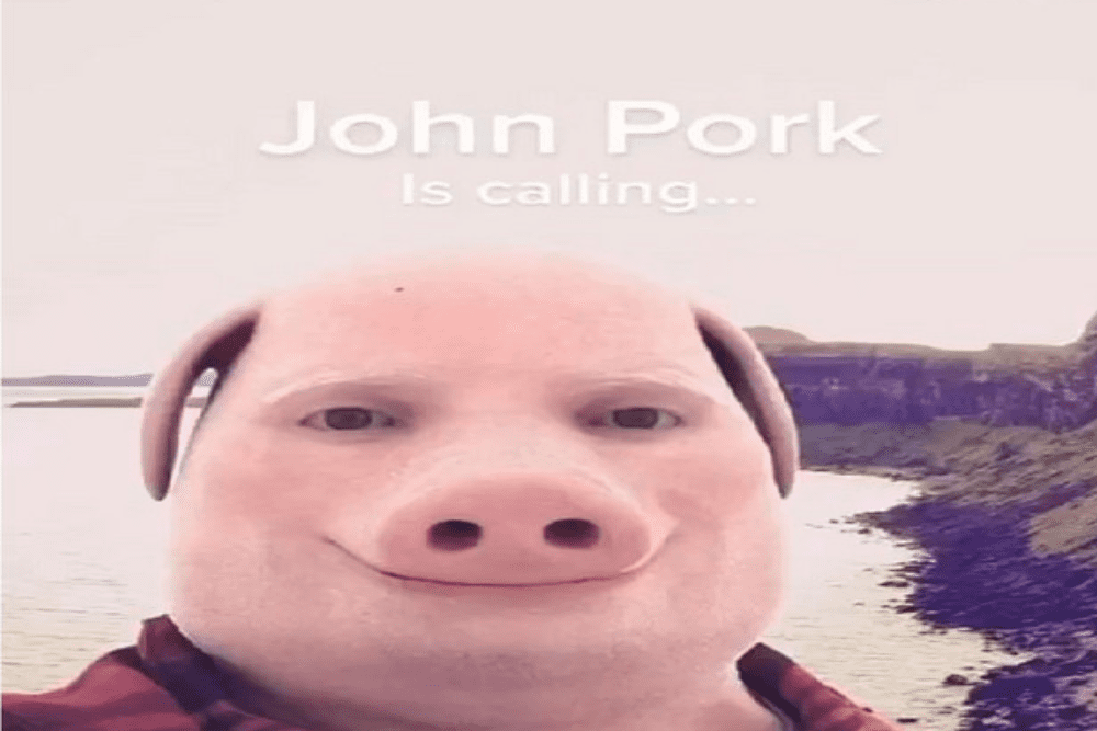 Image Credit Spotify